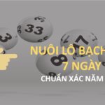Lô nuôi 7 ngày - Cách nuôi lô khung chuẩn xác năm 2025