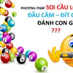 Phương pháp soi cầu lô câm - Đầu, đít câm đánh con gì?